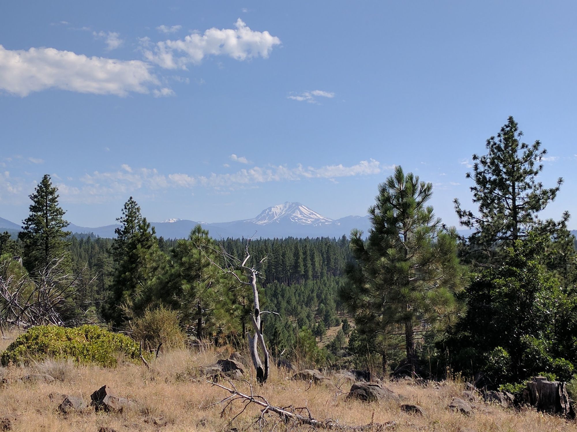 PCT Day 16 - Section O